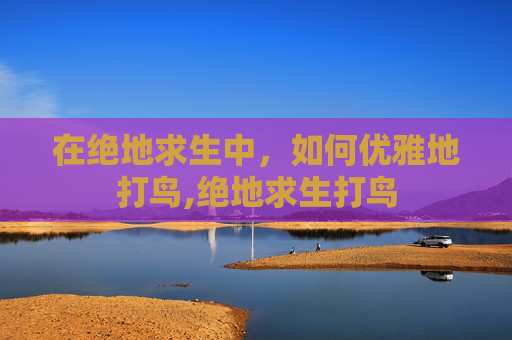 在绝地求生中，如何优雅地打鸟,绝地求生打鸟