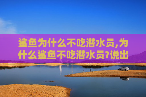 鲨鱼为什么不吃潜水员,为什么鲨鱼不吃潜水员?说出来你都不敢相信