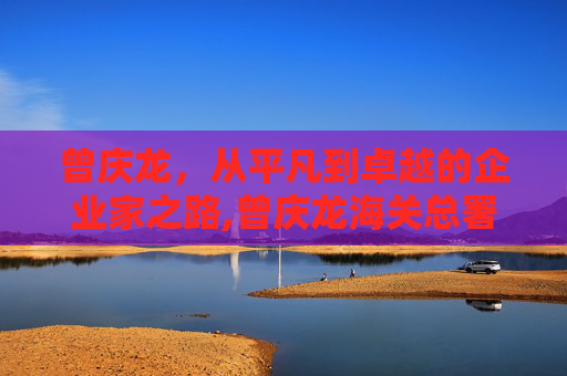曾庆龙，从平凡到卓越的企业家之路,曾庆龙海关总署