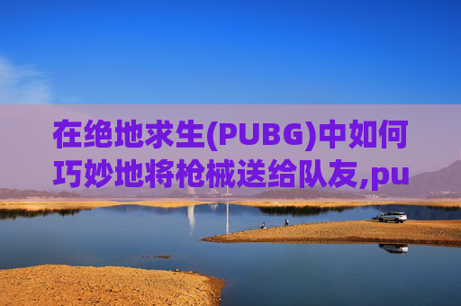 在绝地求生(PUBG)中如何巧妙地将枪械送给队友,pubg枪皮肤怎么送人