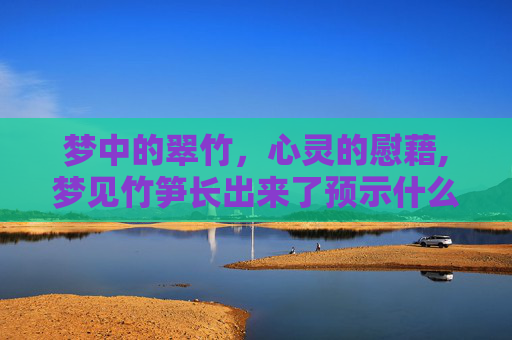 梦中的翠竹，心灵的慰藉,梦见竹笋长出来了预示什么