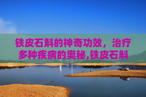 铁皮石斛的神奇功效，治疗多种疾病的奥秘,铁皮石斛有什么功效能治什么病