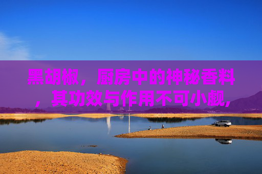 黑胡椒，厨房中的神秘香料，其功效与作用不可小觑,黑胡椒的功效与作用及食用方法