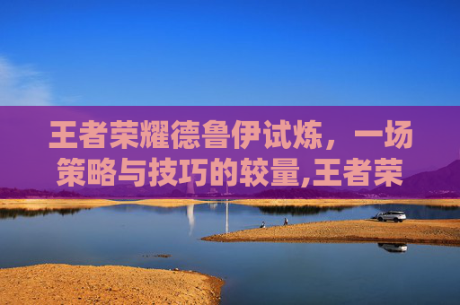 王者荣耀德鲁伊试炼，一场策略与技巧的较量,王者荣耀德鲁伊试炼在哪
