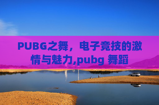 PUBG之舞，电子竞技的激情与魅力,pubg 舞蹈
