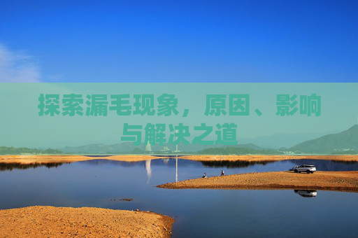 探索漏毛现象，原因、影响与解决之道