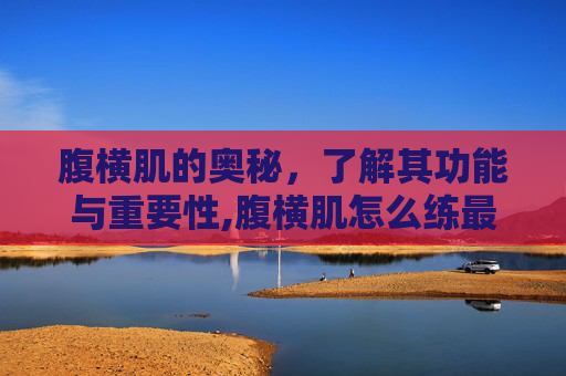 腹横肌的奥秘，了解其功能与重要性,腹横肌怎么练最有效最快
