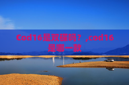 Cod16是双碟吗？,cod16是哪一款