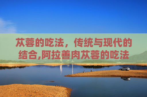 苁蓉的吃法，传统与现代的结合,阿拉善肉苁蓉的吃法