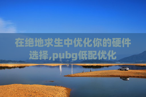 在绝地求生中优化你的硬件选择,pubg低配优化