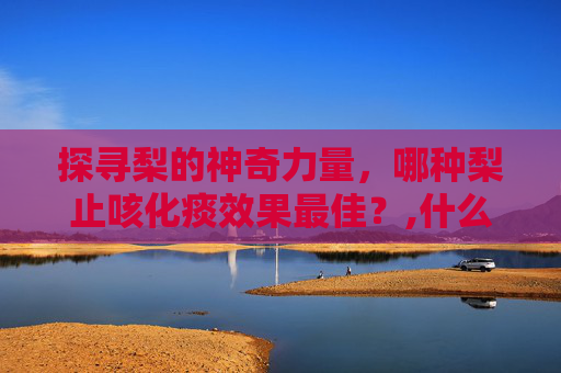 探寻梨的神奇力量，哪种梨止咳化痰效果最佳？,什么梨止咳化痰效果好呢