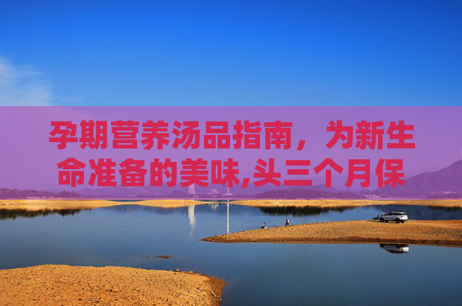 孕期营养汤品指南，为新生命准备的美味,头三个月保胎喝什么汤