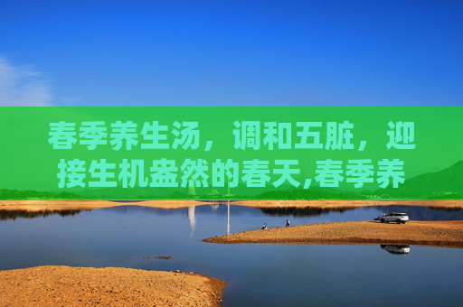 春季养生汤，调和五脏，迎接生机盎然的春天,春季养生汤品做法