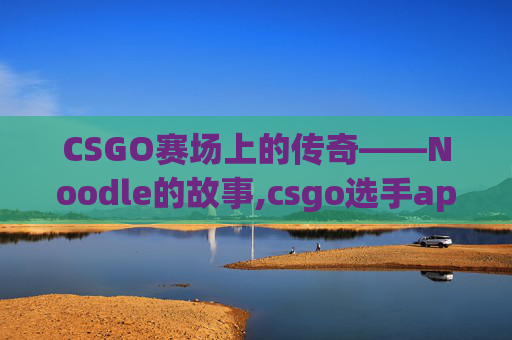 CSGO赛场上的传奇——Noodle的故事,csgo选手apex个人资料