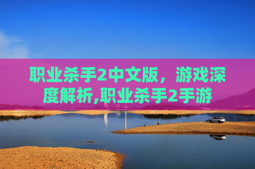 职业杀手2中文版，游戏深度解析,职业杀手2手游