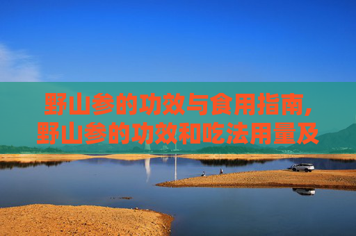 野山参的功效与食用指南,野山参的功效和吃法用量及禁忌