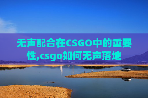 无声配合在CSGO中的重要性,csgo如何无声落地