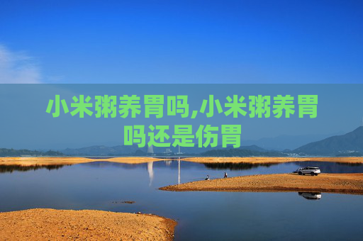 小米粥养胃吗,小米粥养胃吗还是伤胃