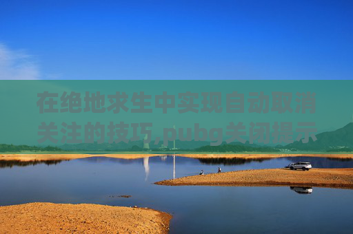 在绝地求生中实现自动取消关注的技巧,pubg关闭提示