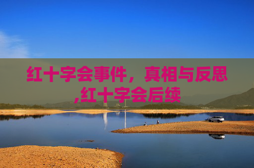 红十字会事件，真相与反思,红十字会后续