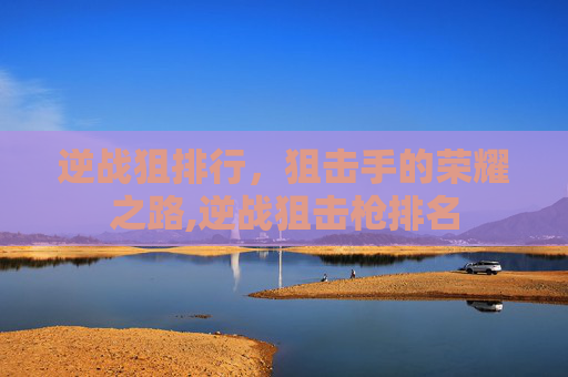 逆战狙排行，狙击手的荣耀之路,逆战狙击枪排名