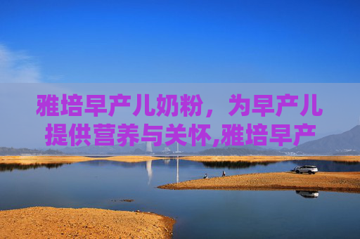雅培早产儿奶粉，为早产儿提供营养与关怀,雅培早产儿奶粉怎么样