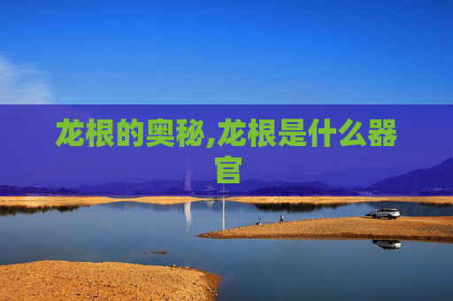 龙根的奥秘,龙根是什么器官