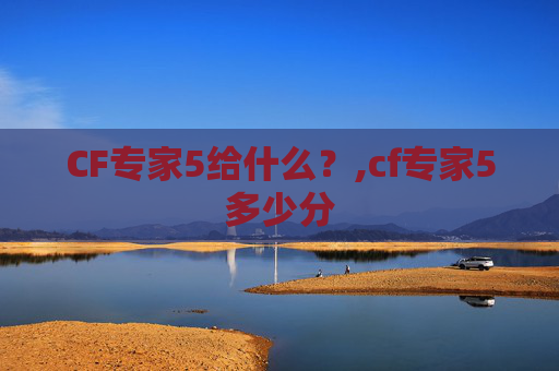 CF专家5给什么？,cf专家5多少分
