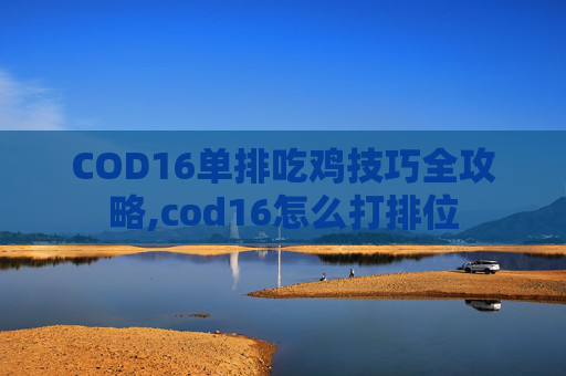 COD16单排吃鸡技巧全攻略,cod16怎么打排位