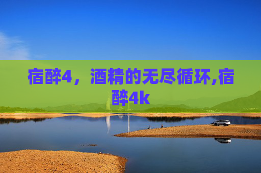 宿醉4,酒精的无尽循环,宿醉4k 宿醉4,酒精的无尽循环,宿醉4k