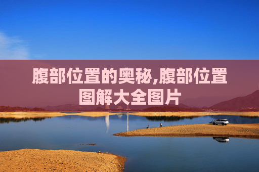 腹部位置的奥秘,腹部位置图解大全图片