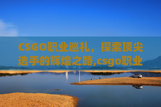 CSGO职业巡礼，探索顶尖选手的辉煌之路,csgo职业冠军