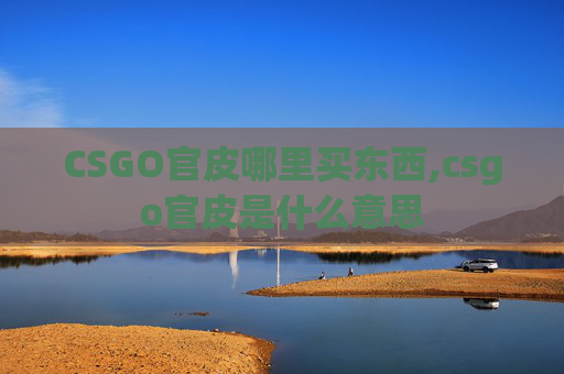 CSGO官皮哪里买东西,csgo官皮是什么意思
