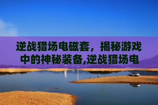 逆战猎场电磁套，揭秘游戏中的神秘装备,逆战猎场电磁套多少钱