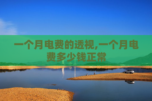 一个月电费的透视,一个月电费多少钱正常