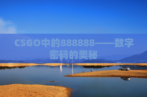 CSGO中的888888——数字密码的奥秘
