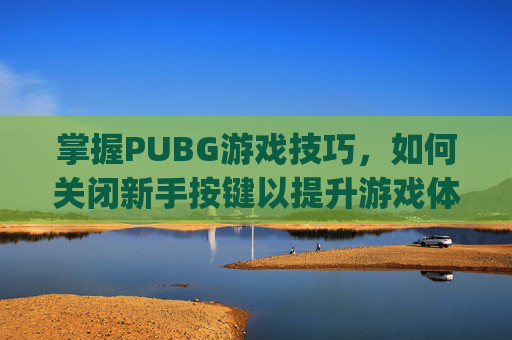 掌握PUBG游戏技巧，如何关闭新手按键以提升游戏体验,pubg新手按键怎么去掉