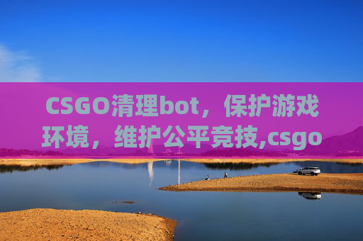 CSGO清理bot，保护游戏环境，维护公平竞技,csgo清理bot指令