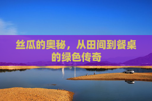 丝瓜的奥秘，从田间到餐桌的绿色传奇