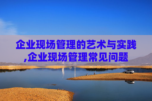 企业现场管理的艺术与实践,企业现场管理常见问题