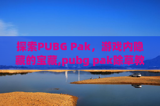 探索PUBG Pak，游戏内隐藏的宝藏,pubg pak除草教程