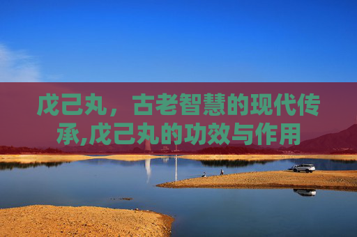 戊己丸，古老智慧的现代传承,戊己丸的功效与作用