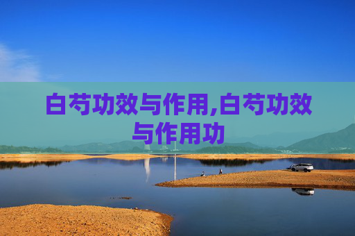 白芍功效与作用,白芍功效与作用功 白芍功效与作用,白芍功效与作用功