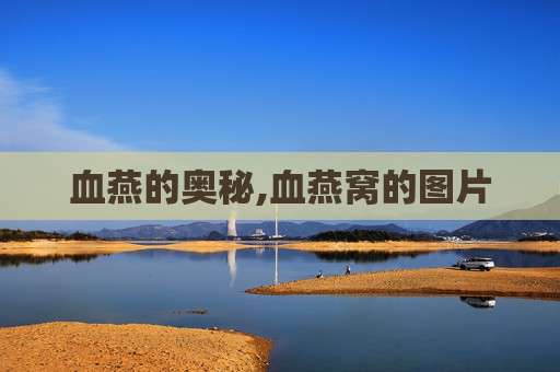 血燕的奥秘,血燕窝的图片 血燕的奥秘,血燕窝的图片