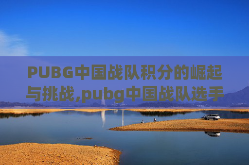 PUBG中国战队积分的崛起与挑战,pubg中国战队选手积分排行榜