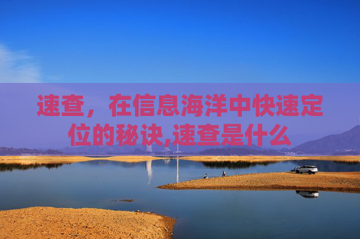 速查，在信息海洋中快速定位的秘诀,速查是什么