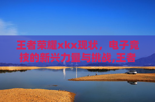 王者荣耀xkx现状，电子竞技的新兴力量与挑战,王者荣耀耀现状