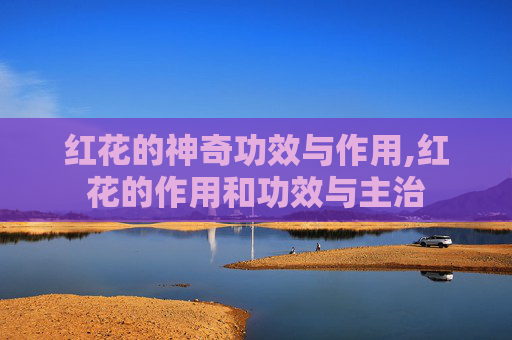红花的神奇功效与作用,红花的作用和功效与主治