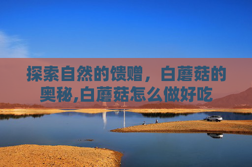探索自然的馈赠,白蘑菇的奥秘,白蘑菇怎么做好吃 探索自然的馈赠,白蘑菇的奥秘,白蘑菇怎么做好吃