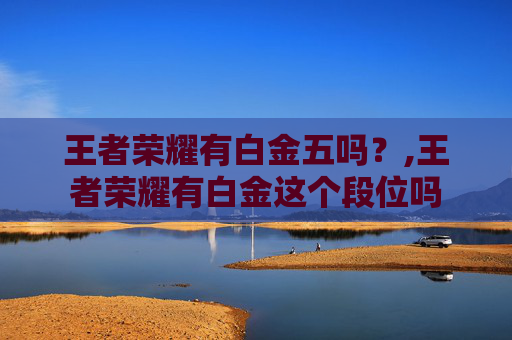 王者荣耀有白金五吗？,王者荣耀有白金这个段位吗